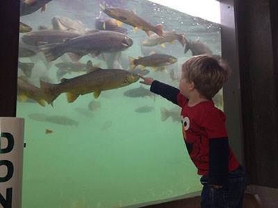 D.C. Booth Fish Hatchery