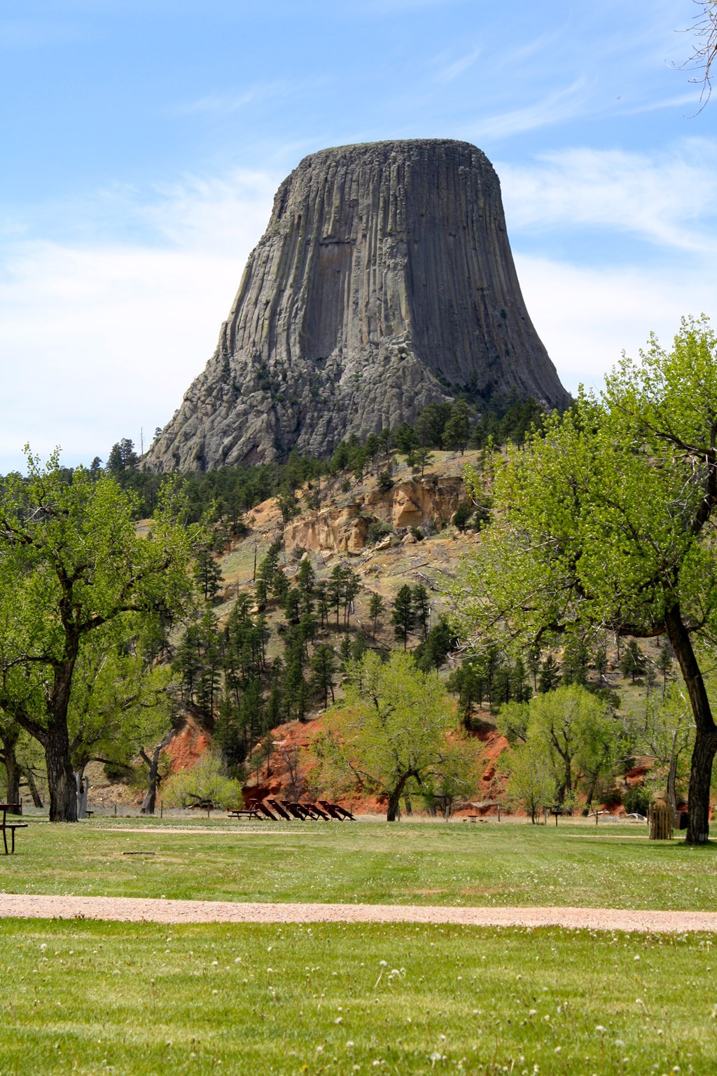 The Conservation Easement Story