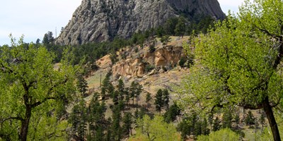 The Conservation Easement Story