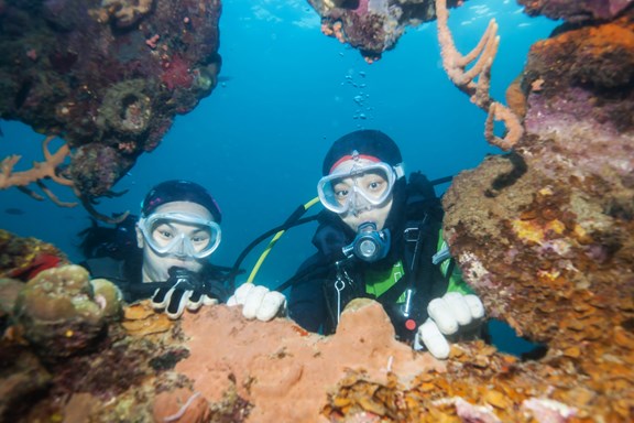 Shipwreck Diving