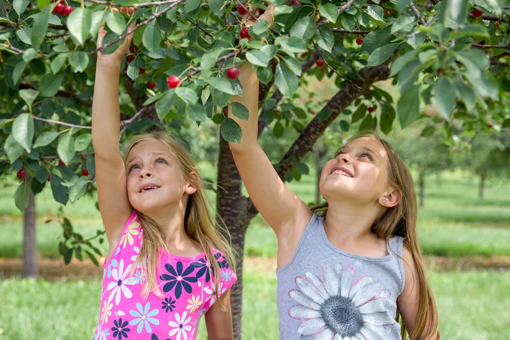 What To Do in Door County, Wisconsin