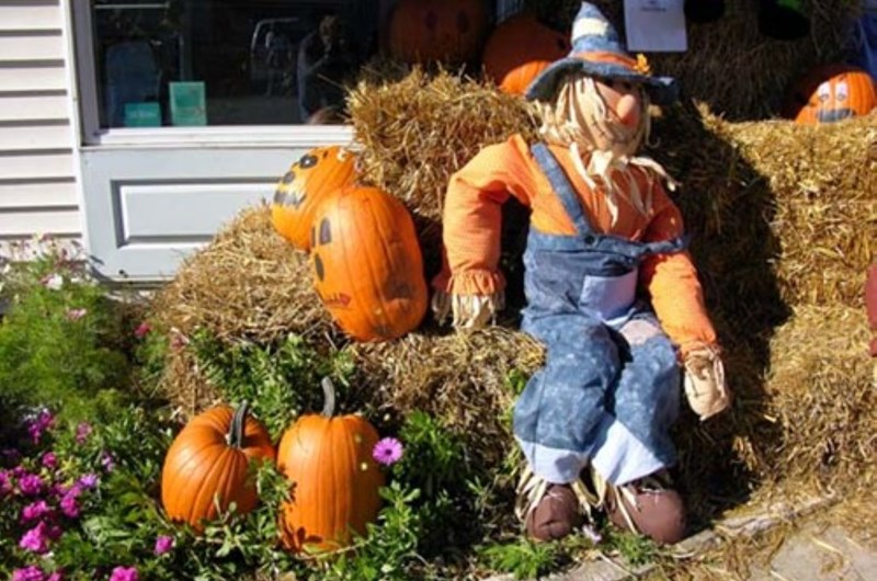 Door County Fall Festivals Photo