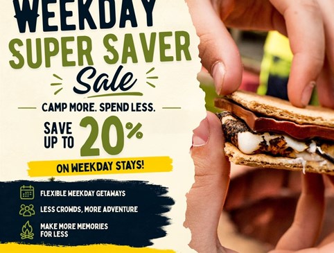 Weekday Super Saver Sale Photo