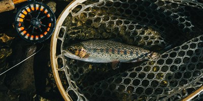 Adventure Awaits in Douglas, WY