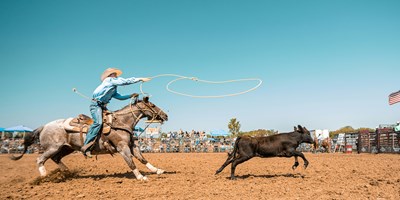 Wyoming State Fair
