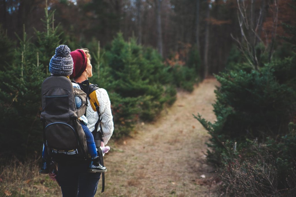 Camping 101: Fun Activities for a Rainy Day