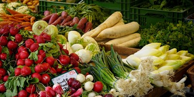 Trochu Arboretum Markets