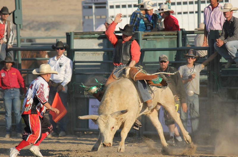 Dubois Friday Night Rodeos: Event at the Dubois / Wind River KOA ...