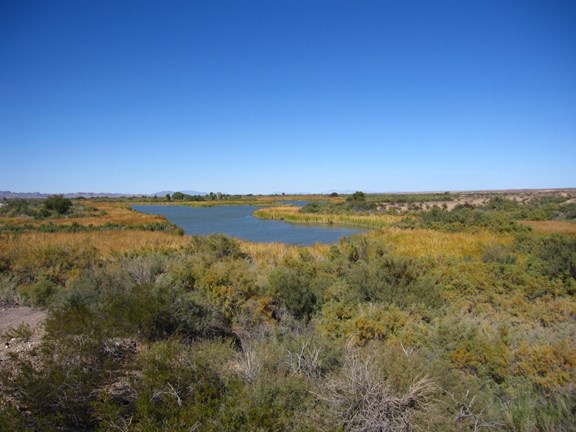 Cibola National Wildlife Refuge