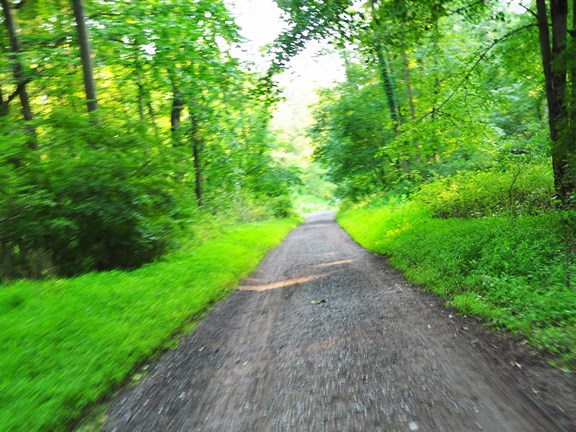 Hiking/Bicycling