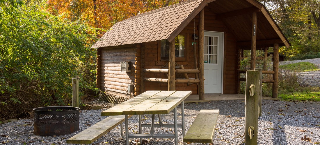 1 Room Log Cabin Plus, (NO BATHROOM) HANDICAPPED FRIENDLY
