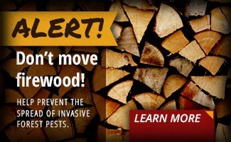 No outside Firewood allowed! We have options!