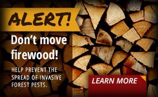 No outside Firewood allowed!  We have options!