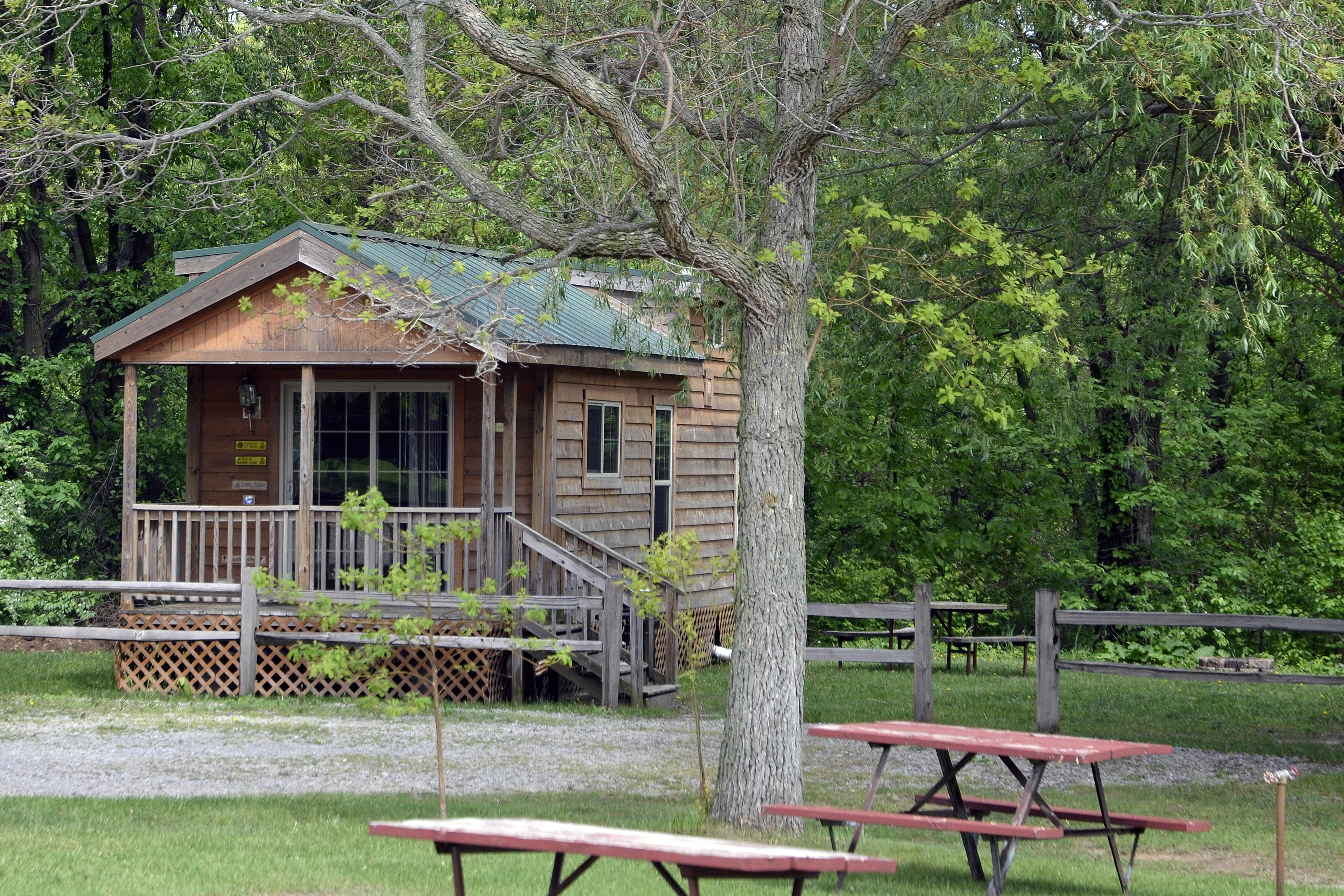 Deluxe Cabin 1 - with loft