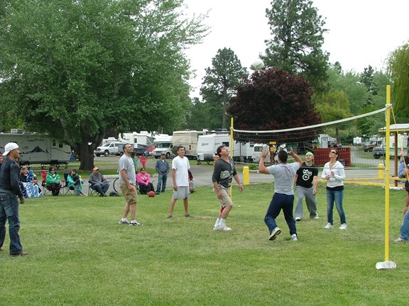 Volleyball and Badminton