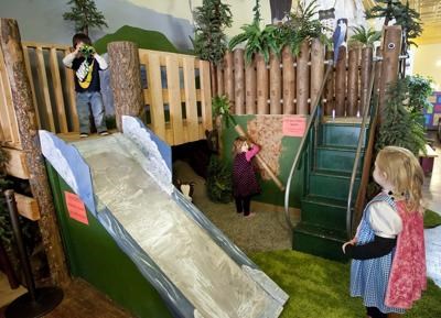 Rainforest Exhibit at the Children's Activity Museum