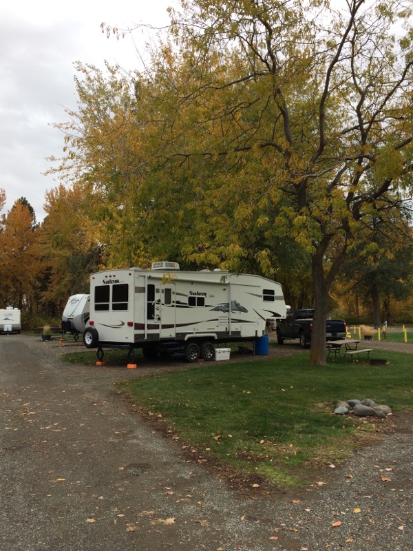 5th wheel and trees