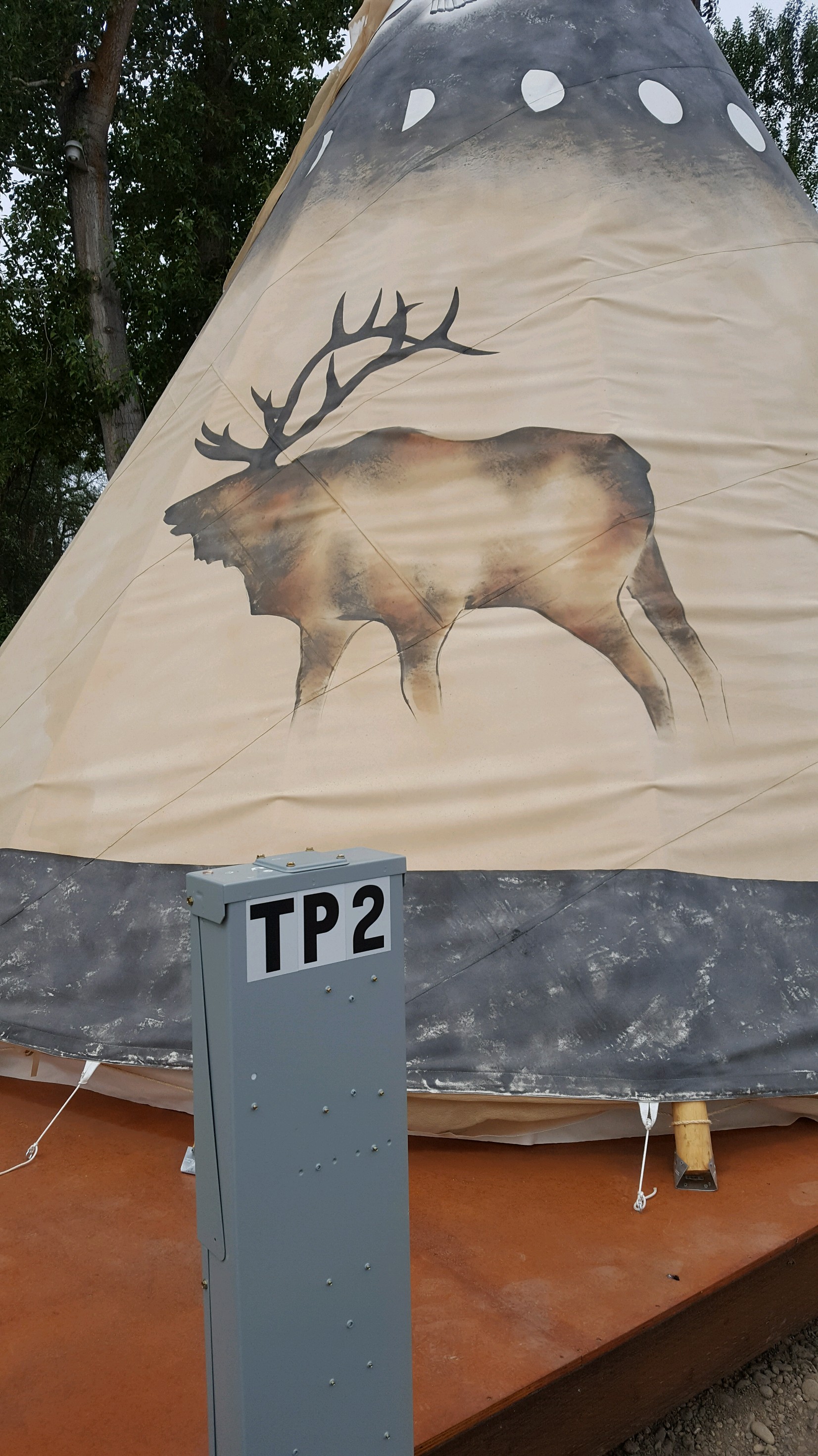 Tp2 (Tipi 2) Elk