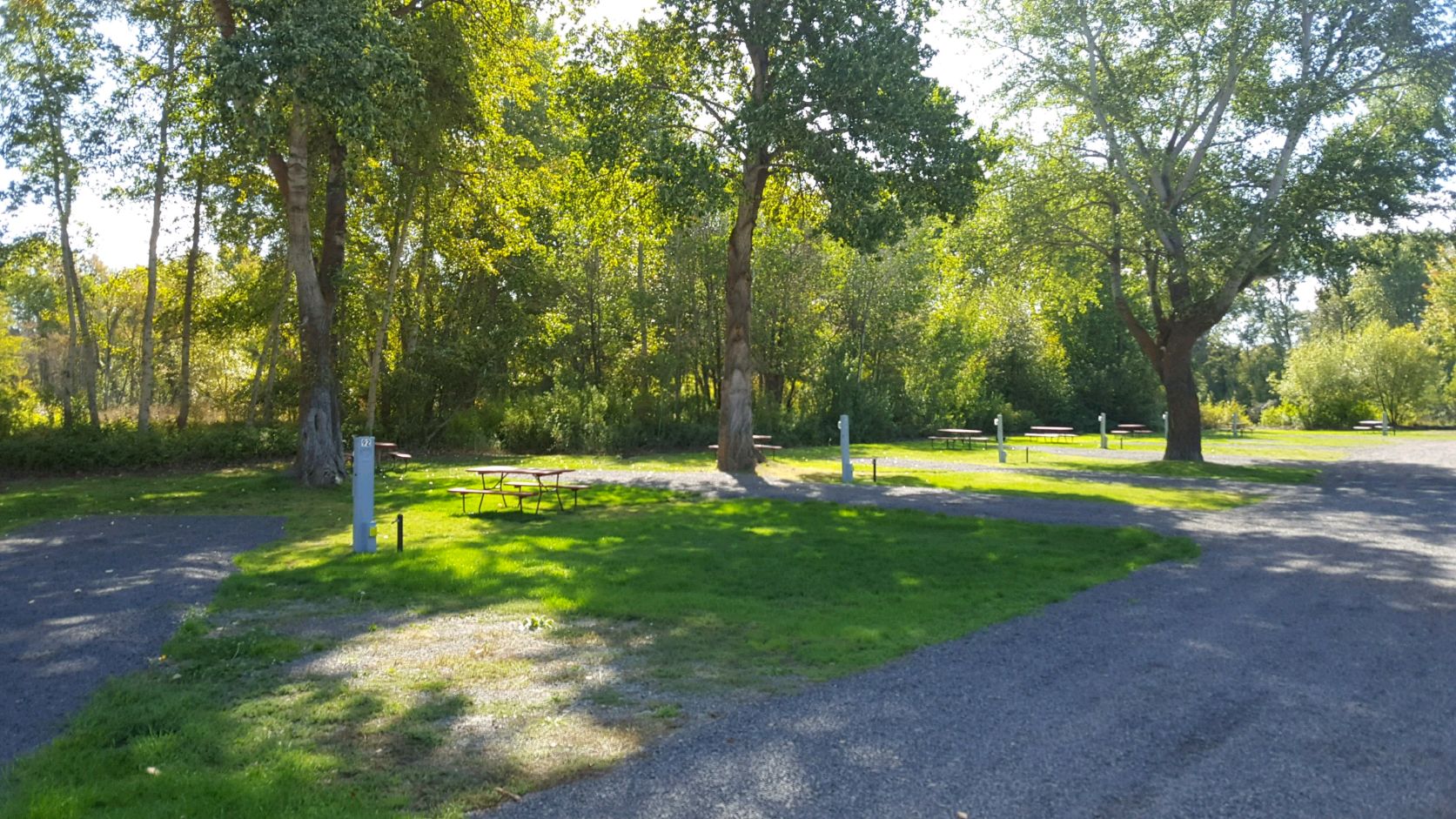 KOA RV SITES WOODS WITH 50 AND 30 AMP