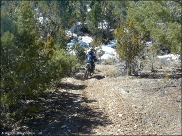 OHV / UTV / ATV / dirt bike trails galore