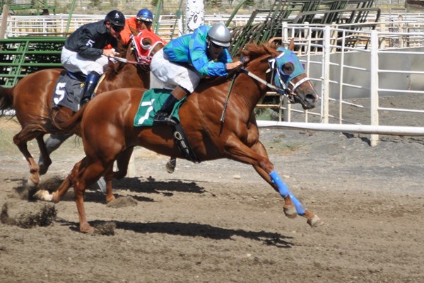 White Pine County Horse Races Photo
