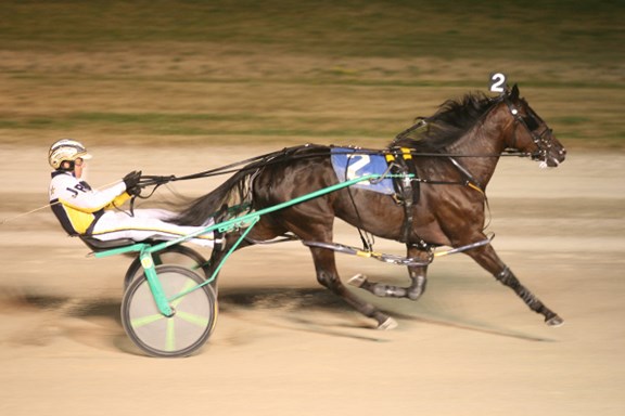 Hiawatha Horse Park & Entertainment Center