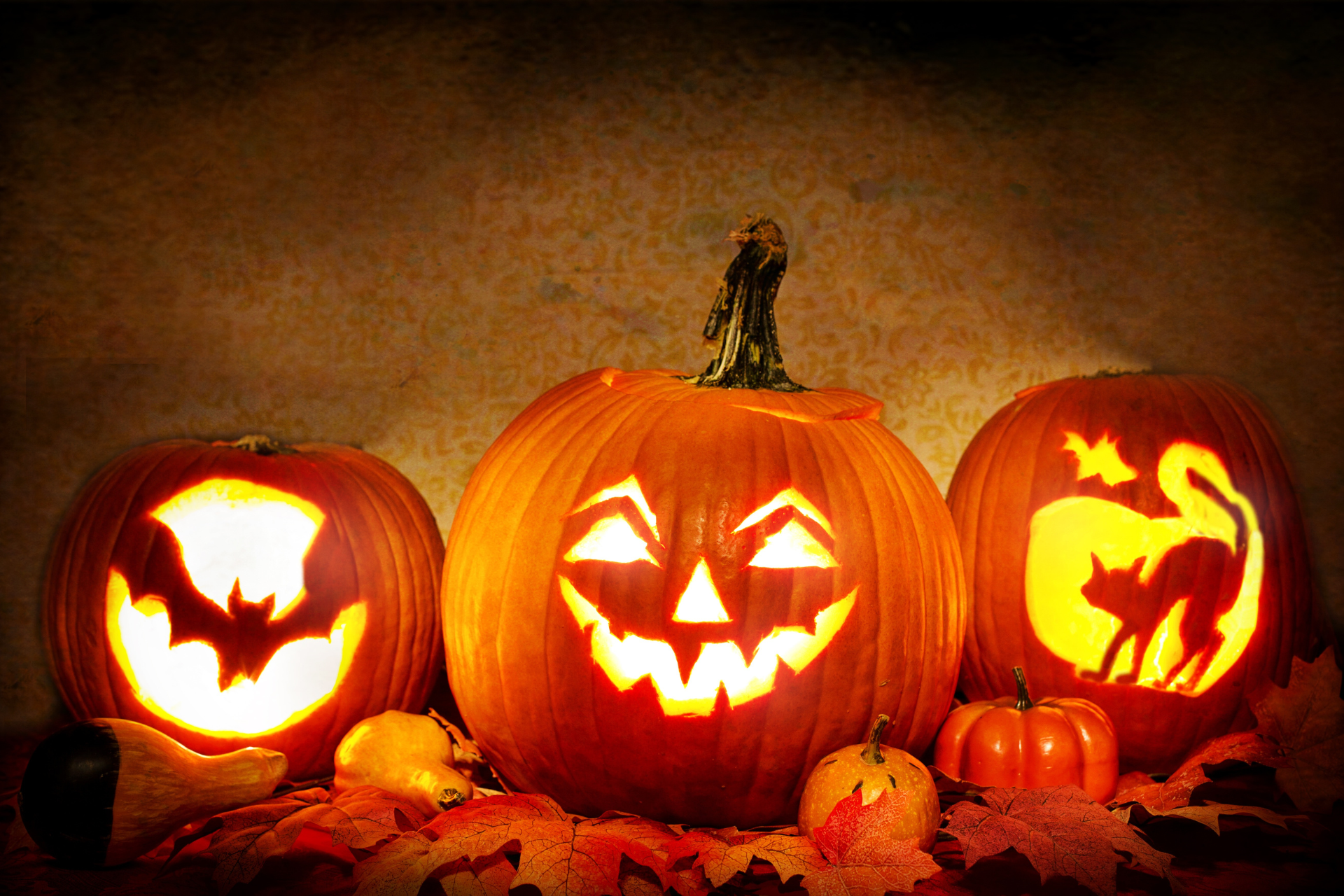Halloween Spooktacular Photo