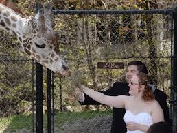 Erie Zoo