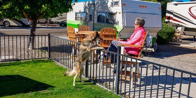KOA Paw Pen Sites_Camp With Your Dog (Coming 2025 Erie KOA)