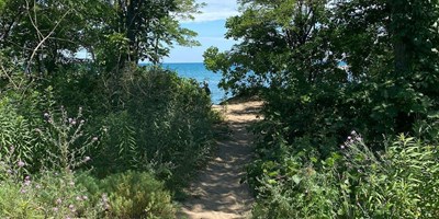 Five Great Places to Hike in Erie County