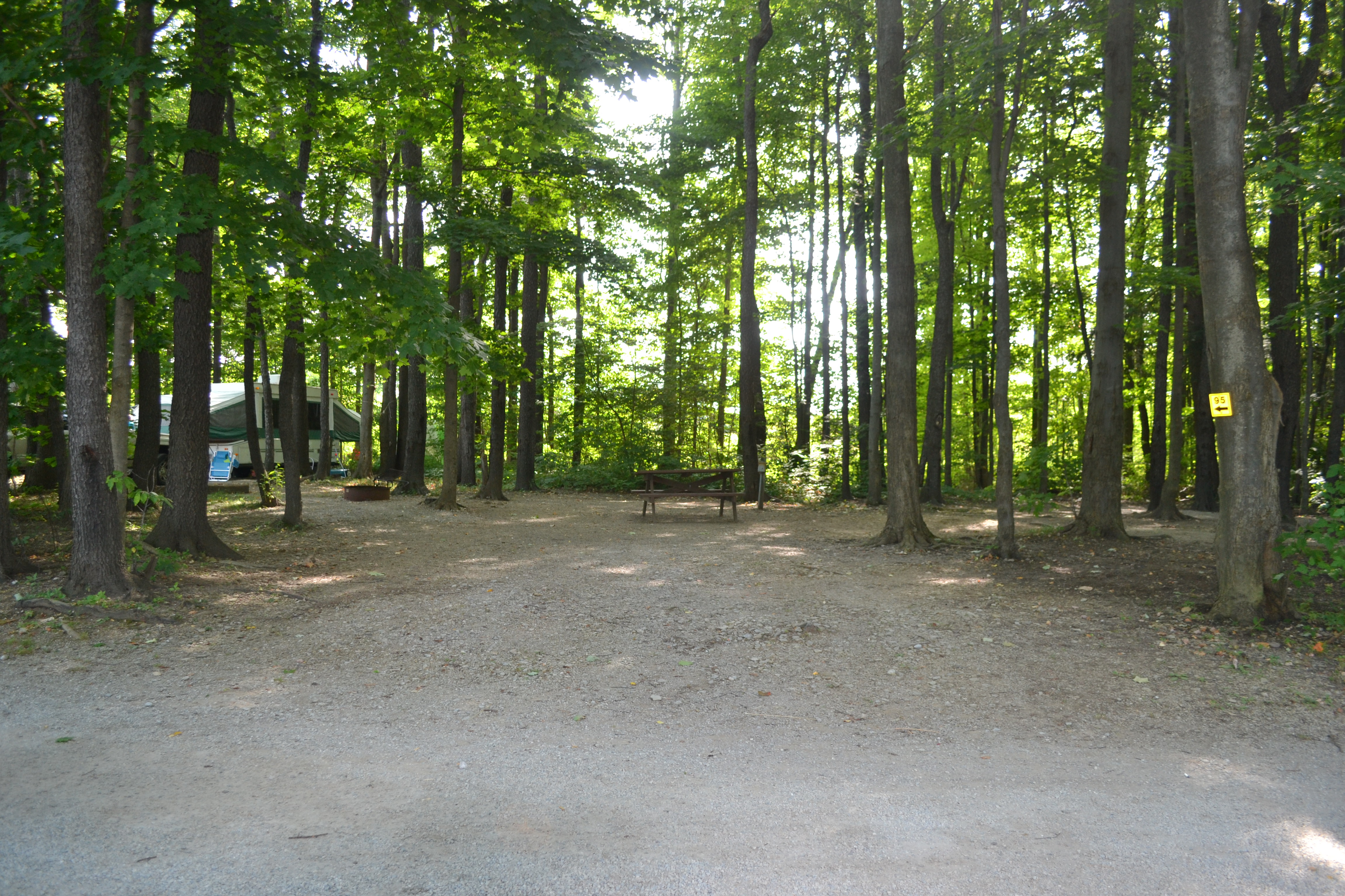 Tent/RV site with water/electric in the woods (Site 095)