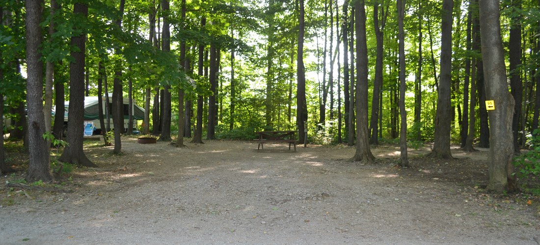 Tent/RV site with water/electric in the woods (Site 095)