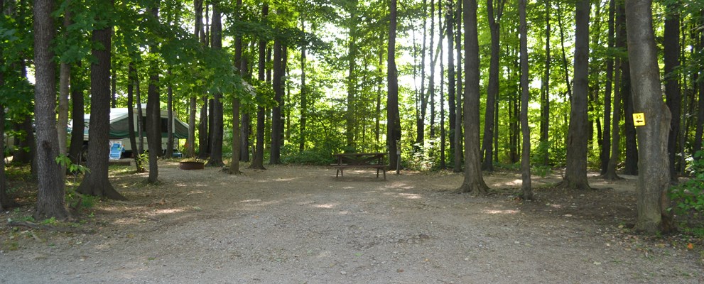 Tent/RV site with water/electric in the woods (Site 095)