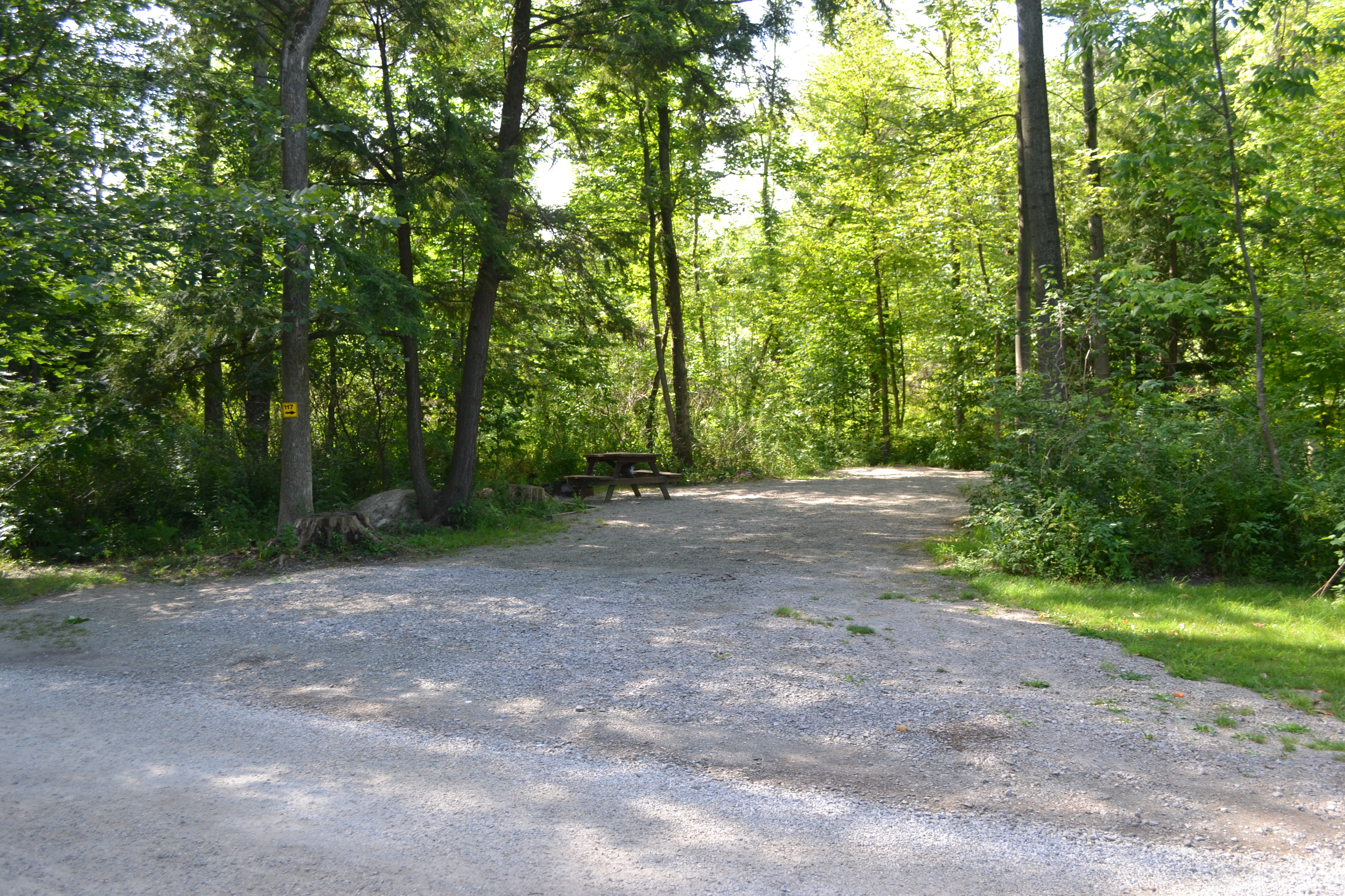 Site 117