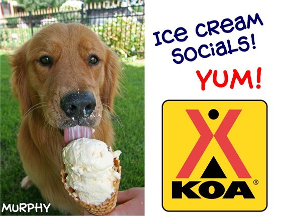 Ice Cream Socials