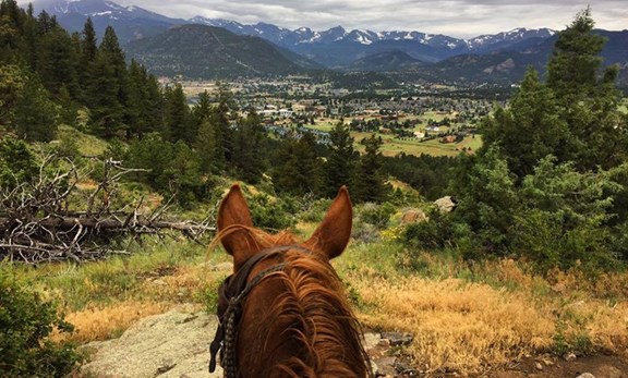 Horseback riding