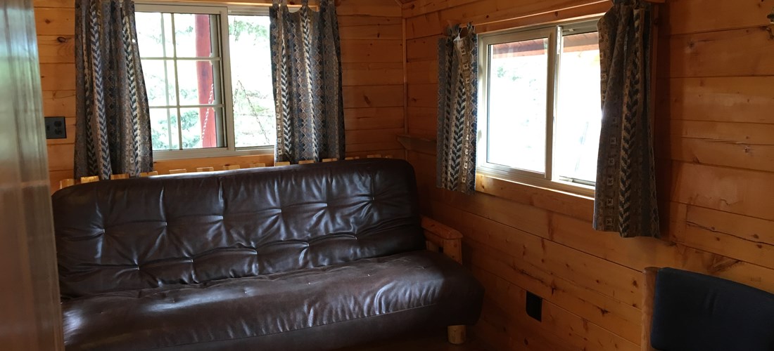 Deluxe cabin futon couch