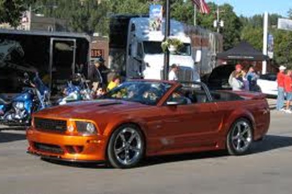 Thunder on the Mountain - Mustang Days Photo