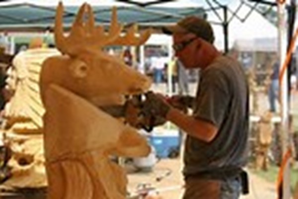 19th Annual Carving in the Ozarks Photo