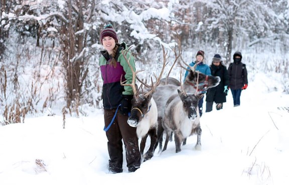 Walk with the Reindeer