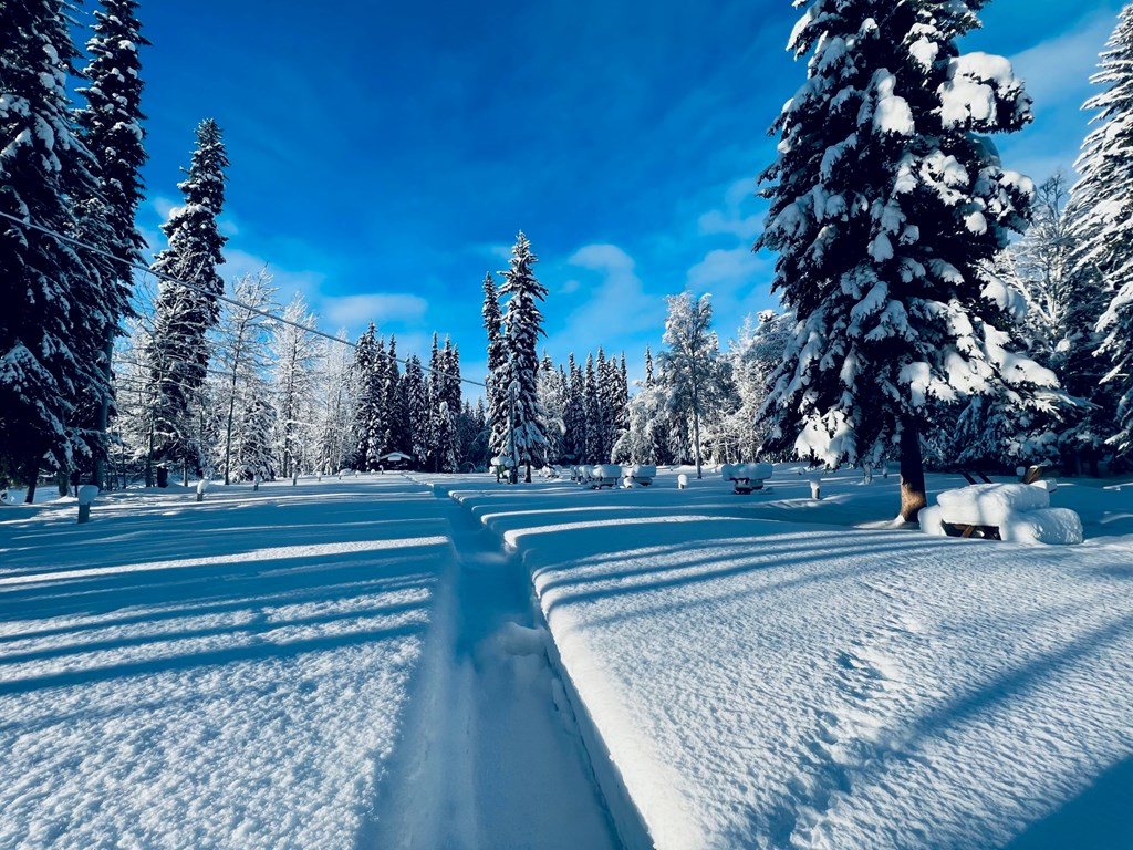 Impressions from Winter Wonderland in Fairbanks