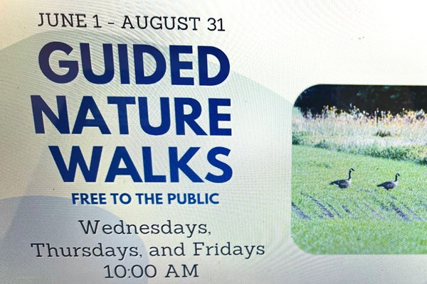 Guided Nature Walks Photo