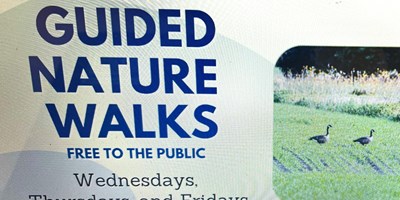 Guided Nature Walks