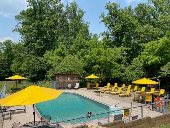 Take a dip in our pool