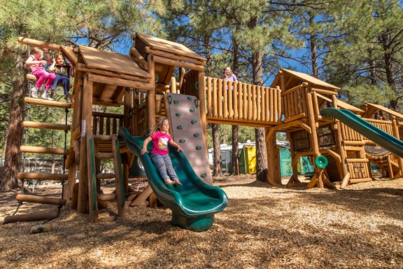 Nature Inspired Playground