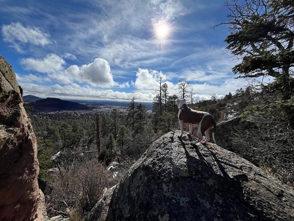 Fatman's Loop Trailhead