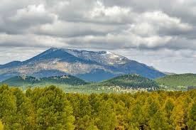 Kaibab National Forest