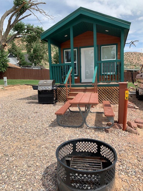 Gas Grill, picnic table and fire pit