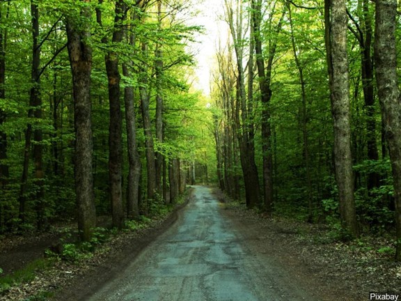 West Virginia State Wildlife Center