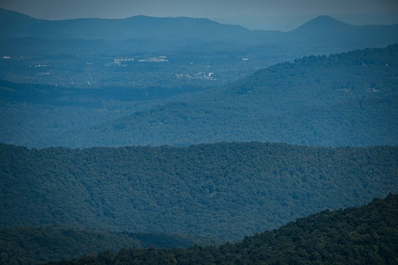 Buffalo Mountain Nature Preserve